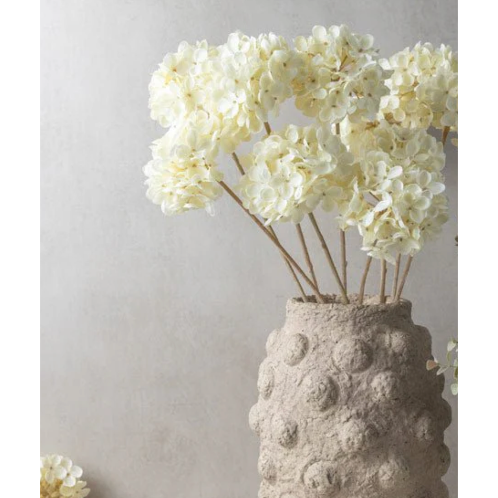 
                      
                        Cream Hydrangea
                      
                    