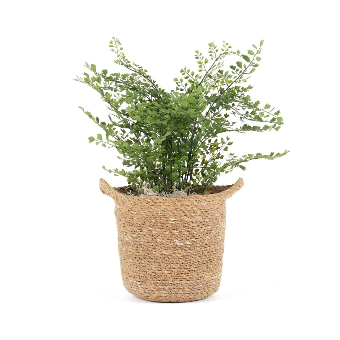 Seagrass Basket with Liner