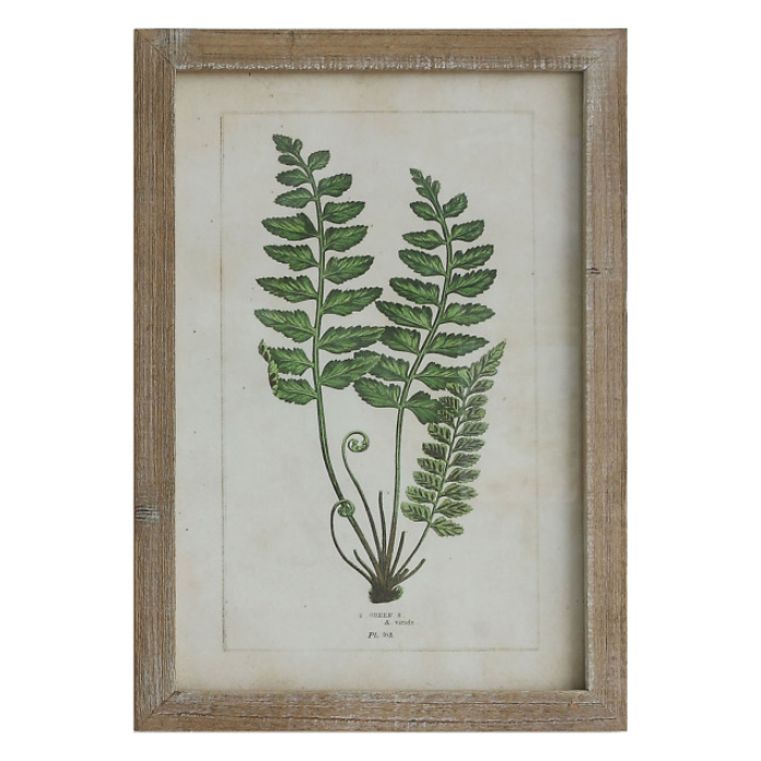 
                      
                        Framed Fern Print
                      
                    