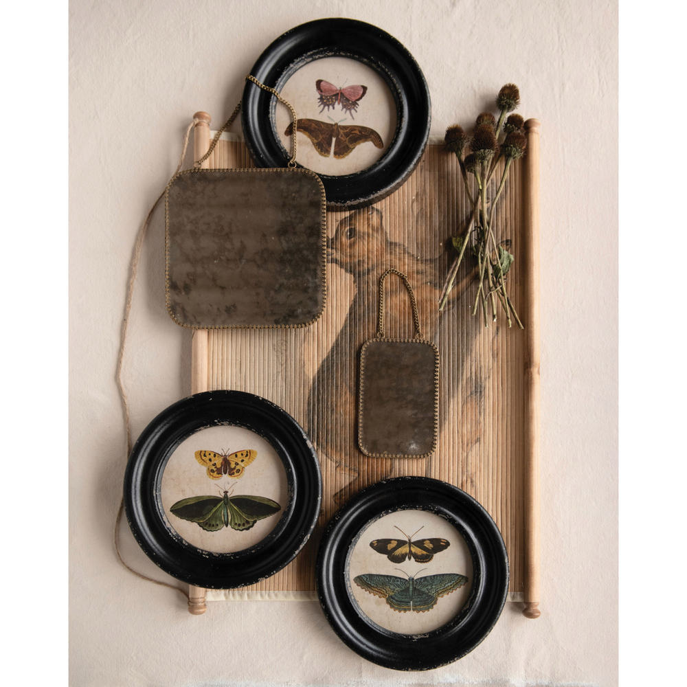 Round Butterfly Moth Print