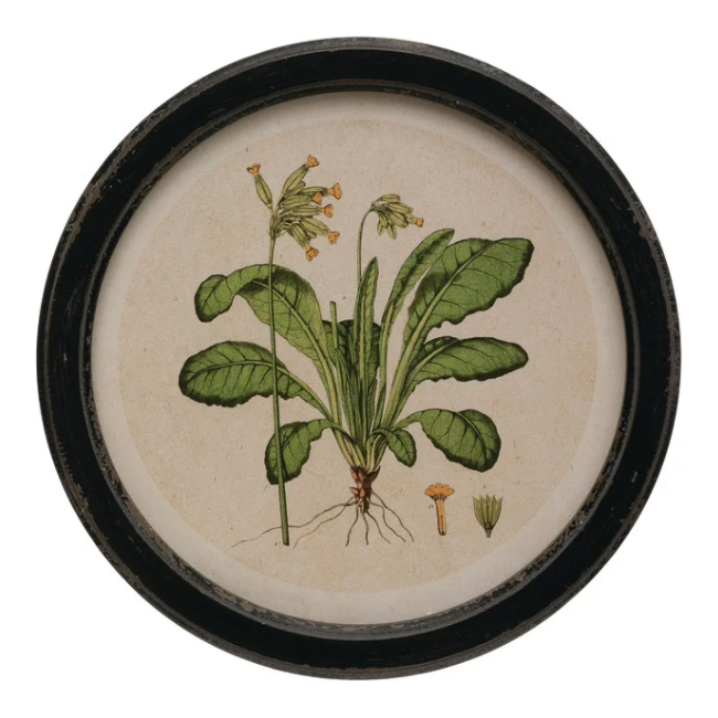 
                      
                        Round Botanical Print
                      
                    