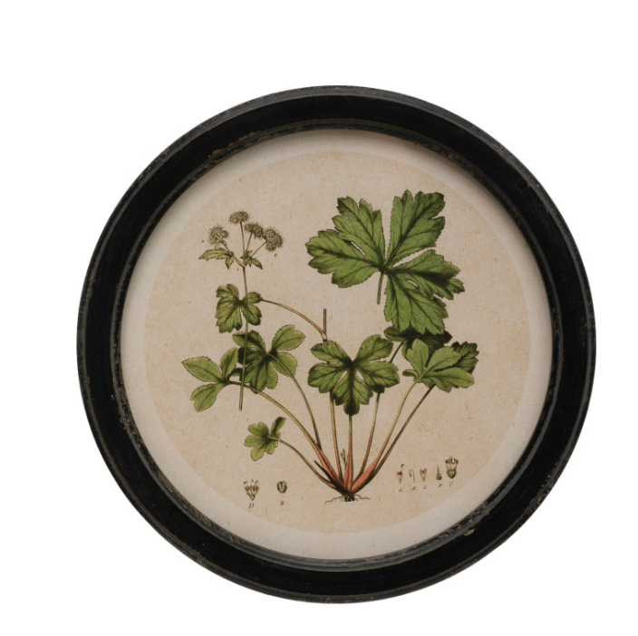 
                      
                        Round Botanical Print
                      
                    