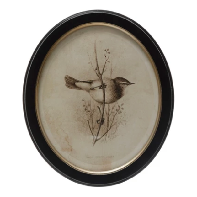 Oval Bird Print